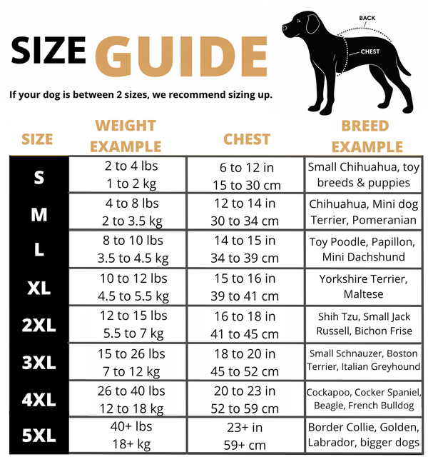 DoggyKings™ 3 in 1 Jacket - Buy 2 Get 1 FREE