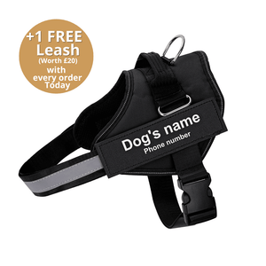 DoggyKings™ Ultimate Personalized No Pull Dog Harness