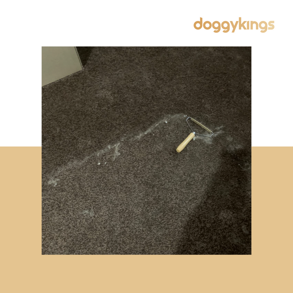 Doggykings Pet Hair Remover™