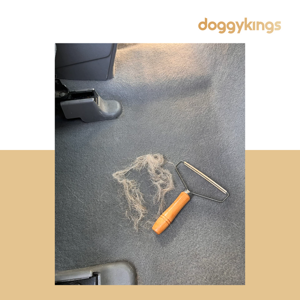 Doggykings Pet Hair Remover™