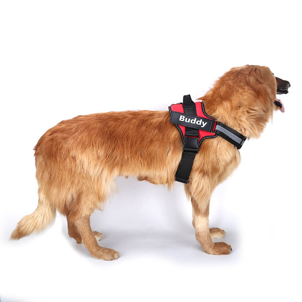 DoggyKings™ Ultimate Personalized No Pull Dog Harness